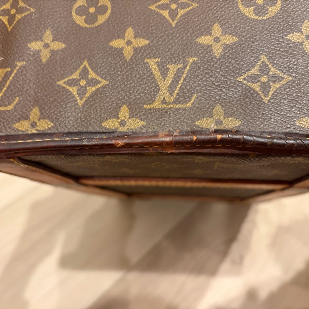 Rare Vintage Louis Vuitton Sac Chien 40 Canvas Pet Bag - Picture 13 of 16